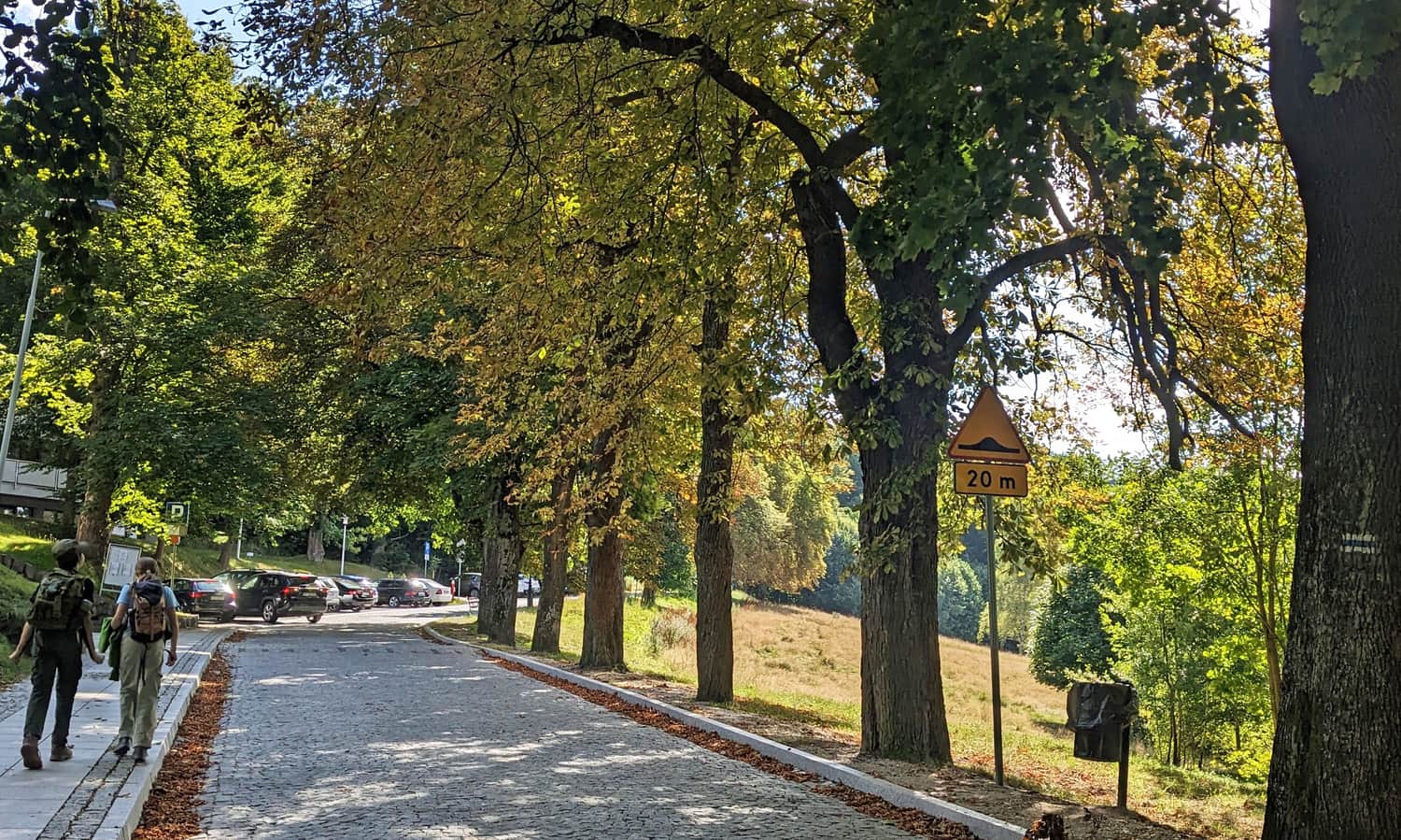 Niebieski szlak z Lądka-Zdroju na Trojak i Karpiak. Parking przy ul. Leśnej