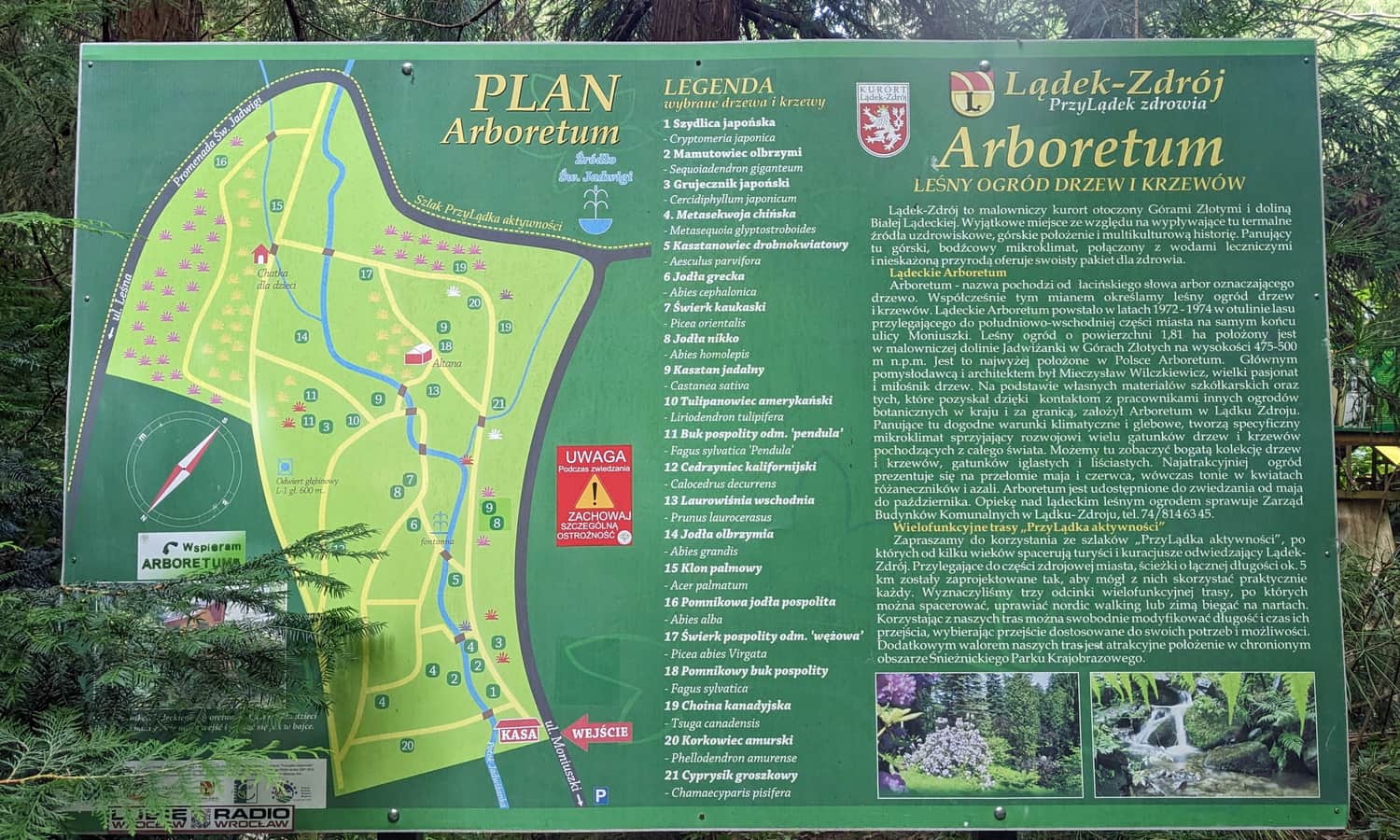 Arboretum w Lądku-Zdroju