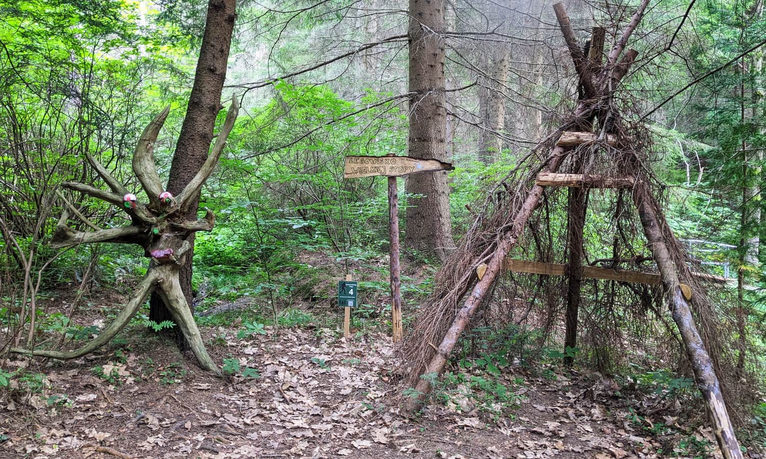Arboretum w Lądku-Zdroju - elementy gry terenowej 