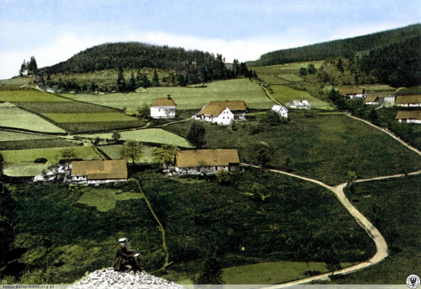 Wrzosówka / Heidelberg; źródło: https://polska-org.pl/5850779,foto.html?idEntity=3310840
