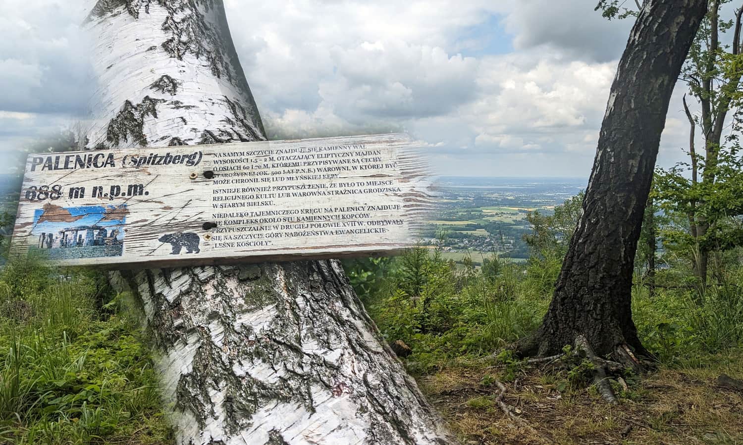 Palenica, 688 m n.p.m - punkt widokowa, a może też beskidzkie 