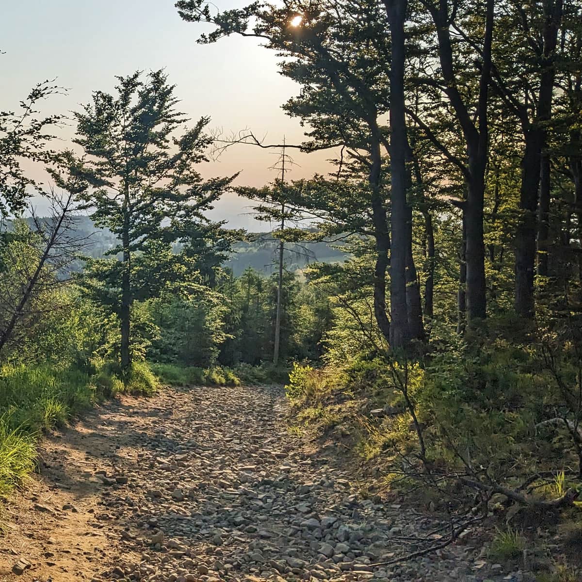 Z Szyndzielni na Błatnią