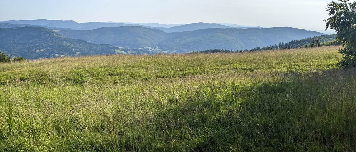 Błatnia, 917 m n.p.m. - widok na pasmo Stożka i Czantorii