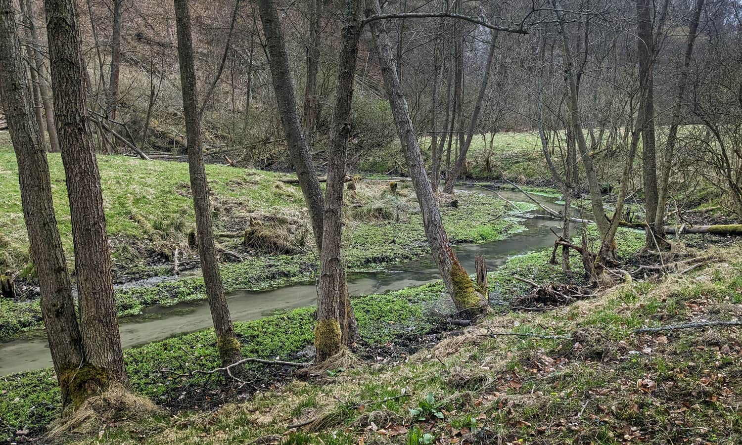 Dolina Sąspówki - oaza ciszy i spokoju w Ojcowskim Parku Narodowym 