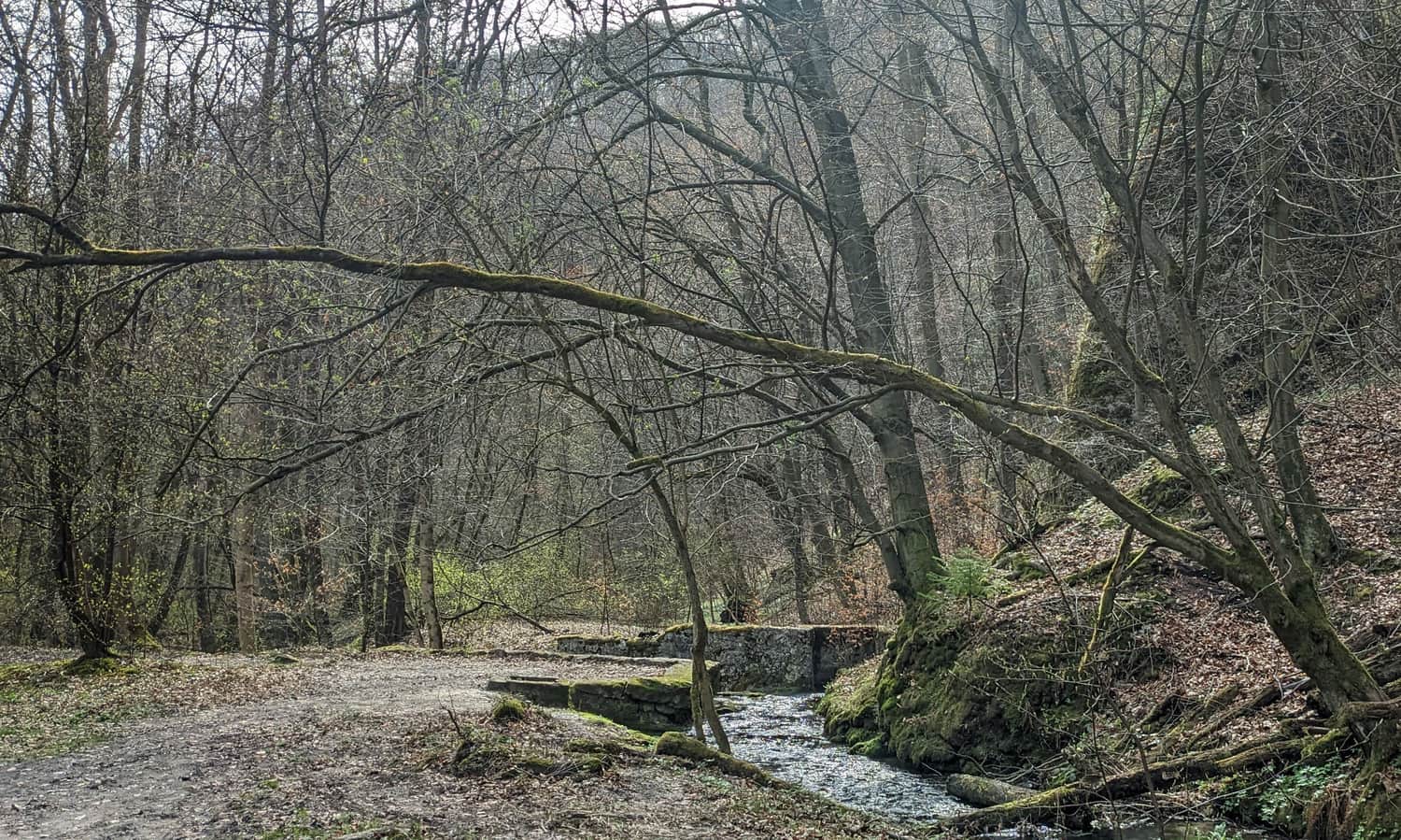 Dolina Sąspówki w Ojcowskim Parku Narodowym - ujście kanału do stawów rybnych