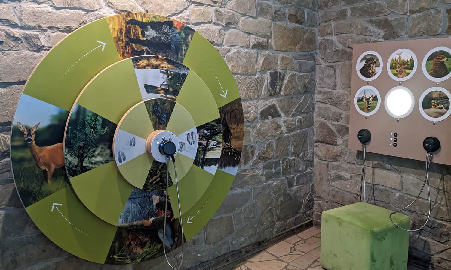 Muzeum Przyrodnicze Magurskiego Parku Narodowego - elementy interaktywne