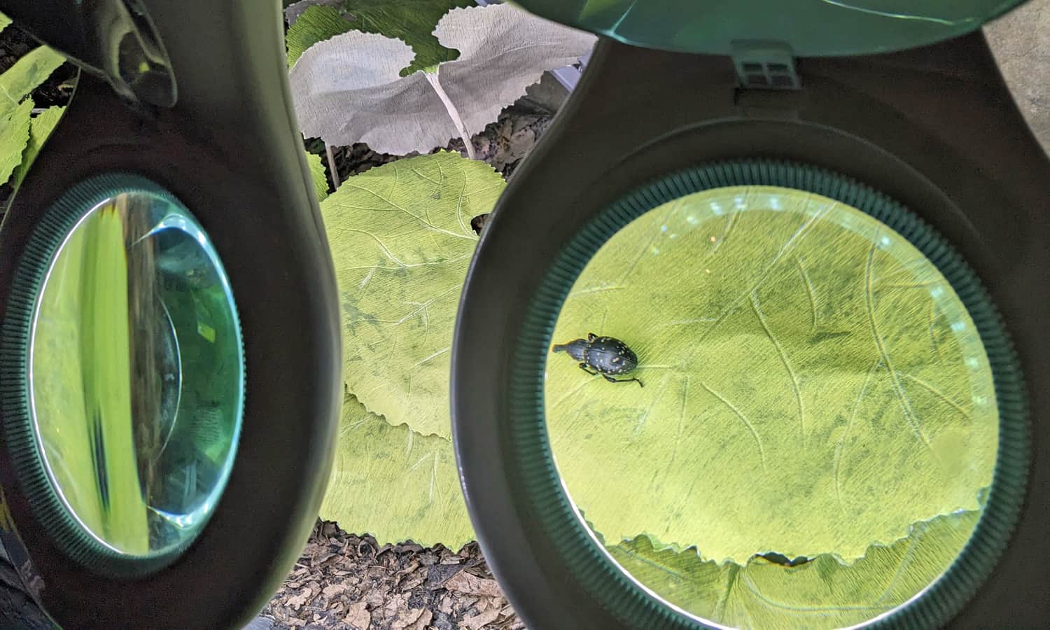 Nature Exhibition at the Education Center of Gorce National Park