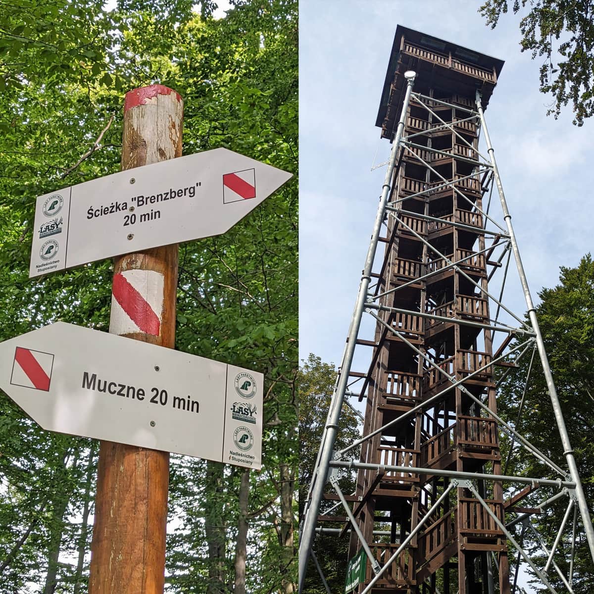 Jak dojść do wieży widokowej w Mucznem?