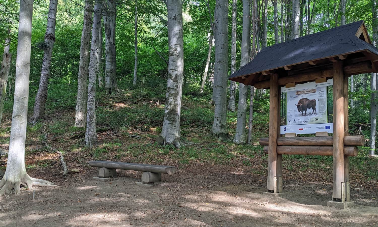 Z Mucznego na Jeleniowaty - przystanek ścieżki przyrodniczej nr 2