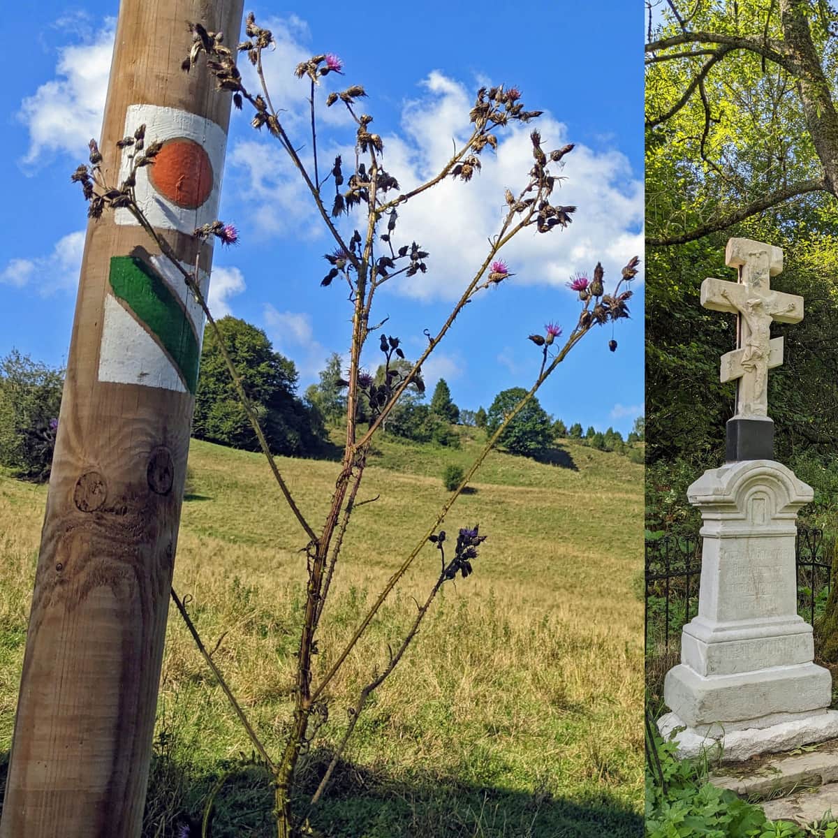Ścieżka przyrodniczo-historyczna Caryńskie: z Nasicznego na Przysłop Caryński