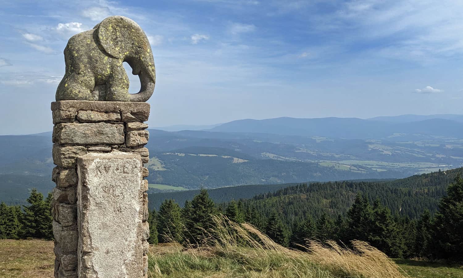 Słonik pod szczytem Śnieżnika Kłodzkiego