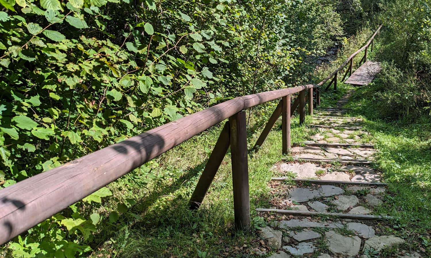 Dojście do cerkwiska w Caryńskiem