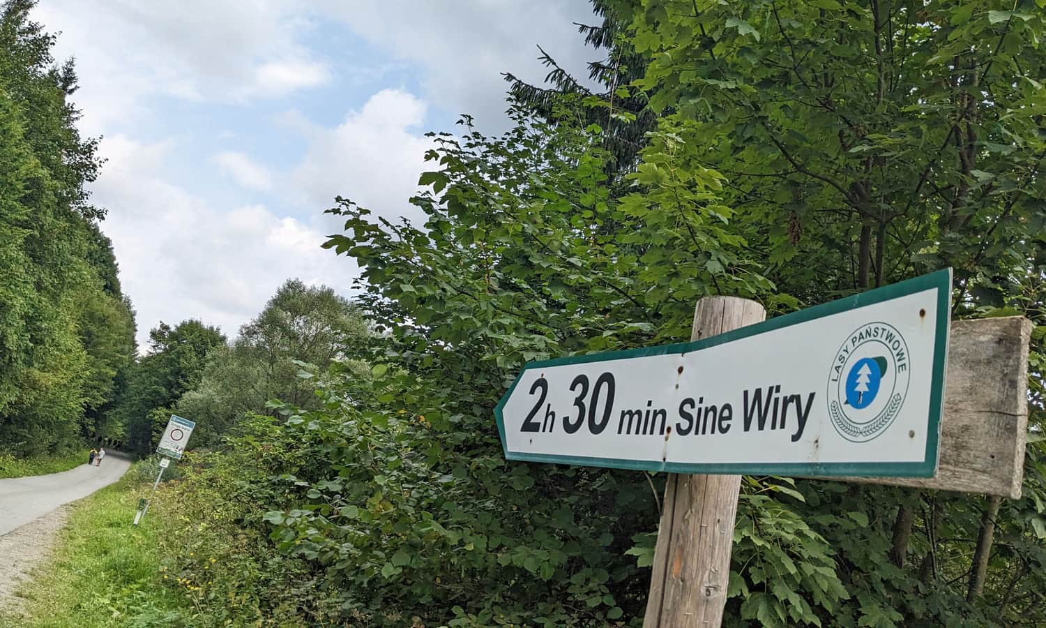 Jaworzec - droga w kierunku Rezerwatu Sine Wiry ścieżką 