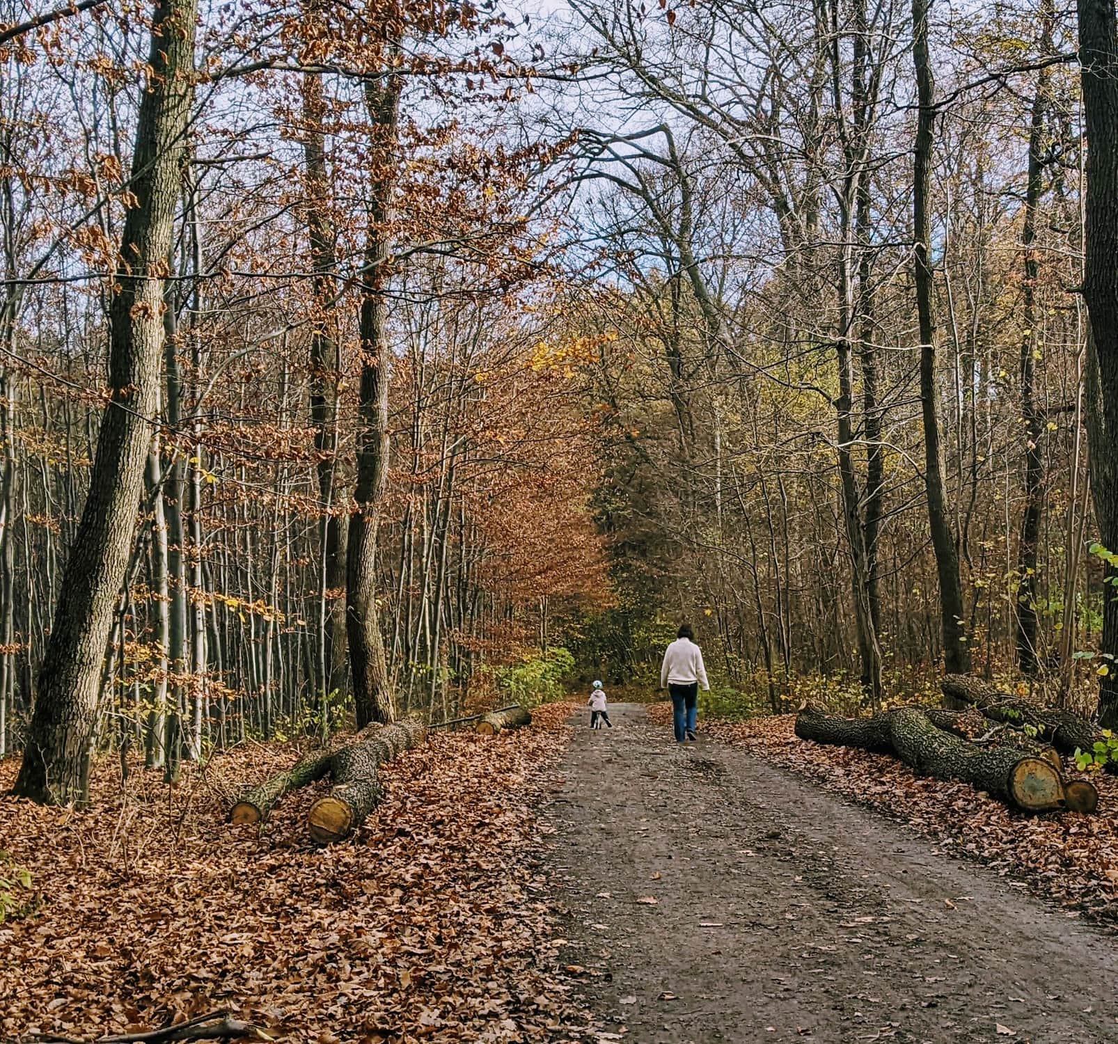 10 pomysłów na jesienny spacer w Krakowie i okolicy