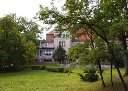 Nowy zamek - widok od strony parku po lewej stronie płożące się kasztanowce - pomnik przyrody