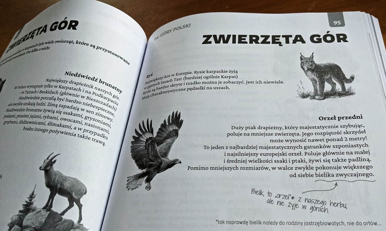 Polska w małym paluszku. Agnieszka Rajczak-Kucińska, twojemapy.com