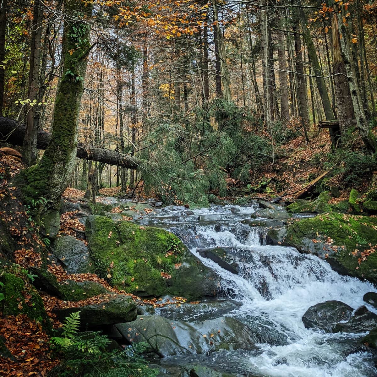 Najsłynniejszy Bieszczadzki wodospad? Szepit na potoku Hylaty