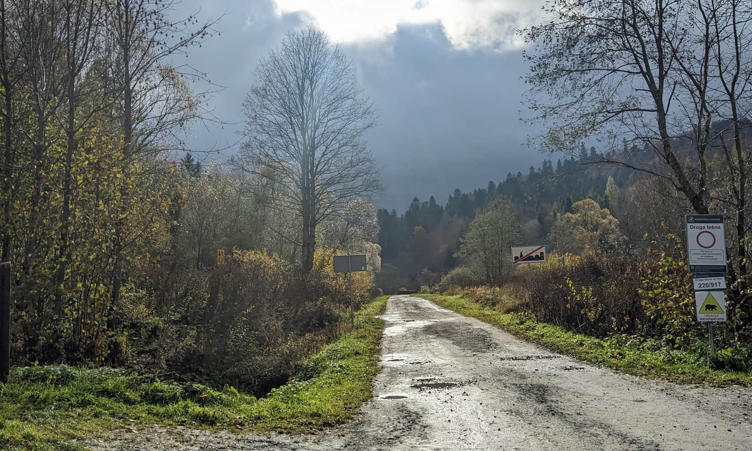 Leśna droga do wodospadu Szepit, Zatwarnica
