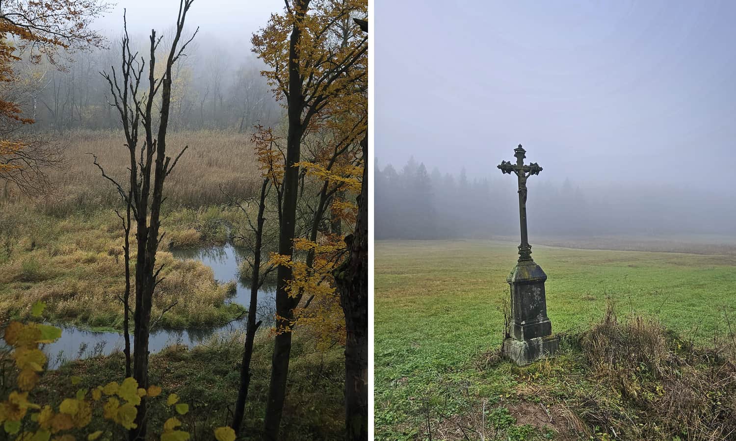 Rezerwat Źródliska Jasiołki, fot. Anna Pacyga