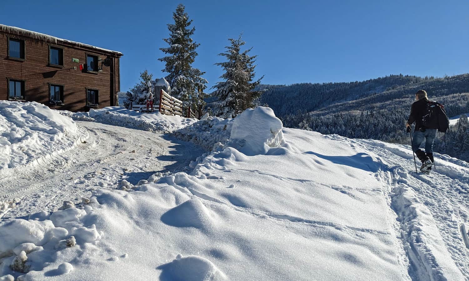 Hala Boracza, Żabnica w Beskidzie Żywieckim, 854 m n.p.m.