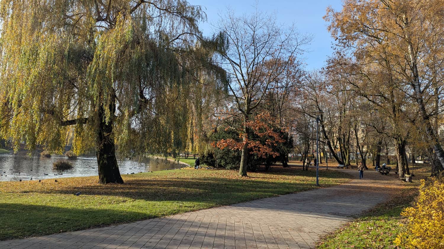 Park im. Stanisława Staszica w Kielcach