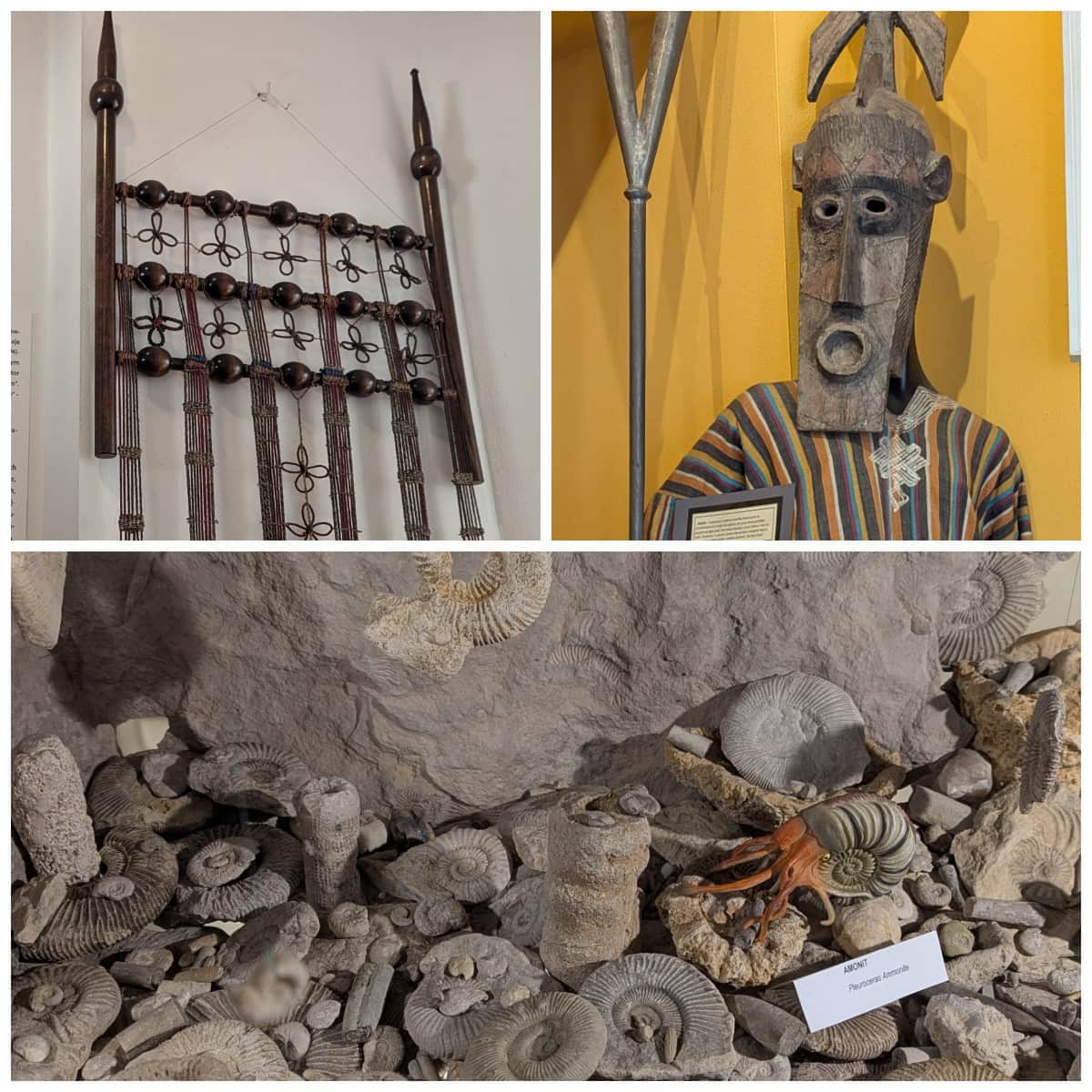 Muzeum Afrykanistyczne, wystawa wyrobów z  wikliny i kolekcja minerałów w Miejskim Ośrodku Kultury w Olkuszu