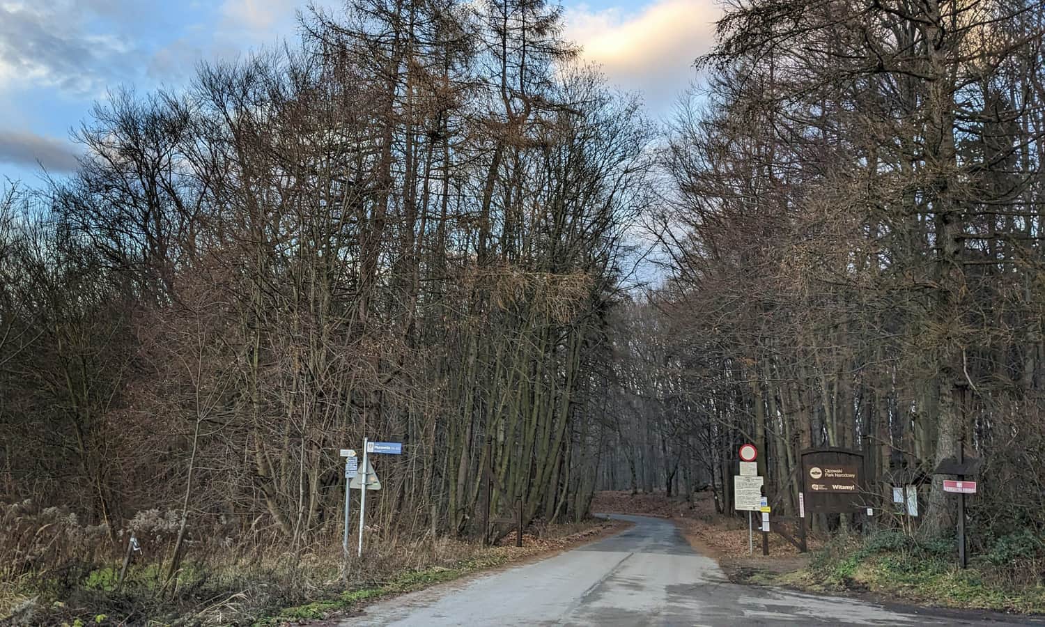 Biały Kościół Murownia - wejście do lasu na 