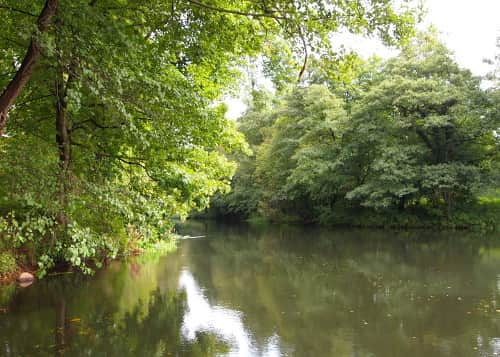 Zejście nad rzekę Regę przy zamku