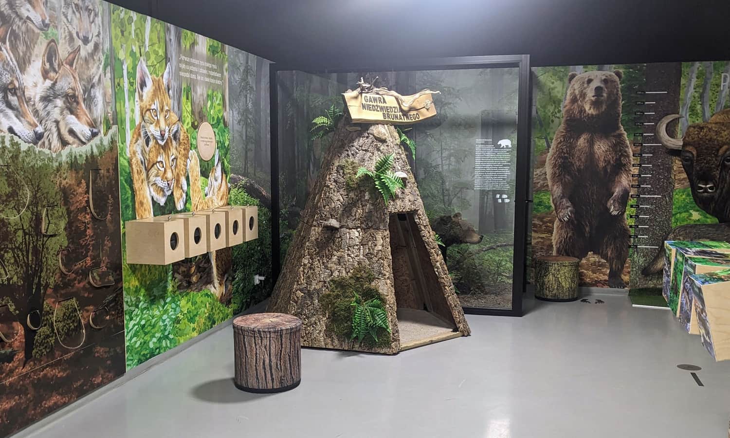 Muzeum Przyrodnicze Bieszczadzkiego Parku Narodowego -  wystawa dla dzieci, fot. Marfusza