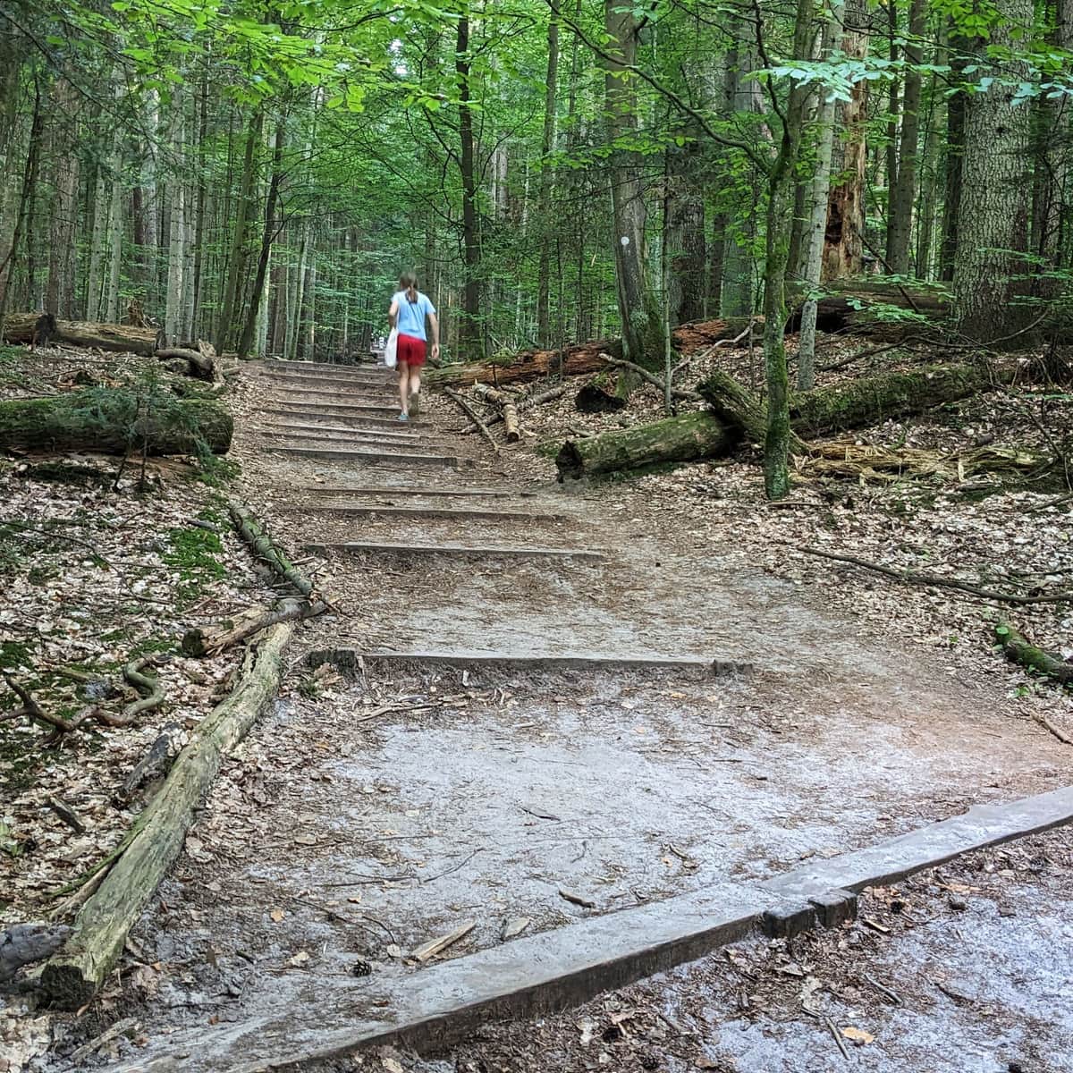 Bukowa Góra ze Zwierzyńca