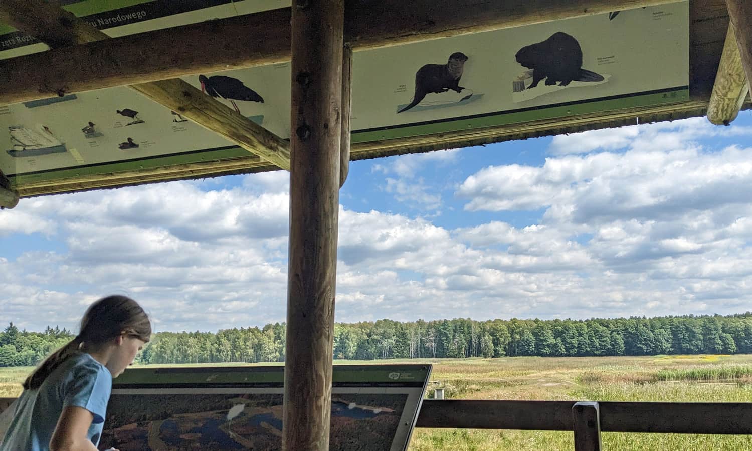 Wieża widokowa nad Stawami Echo w Zwierzyńcu