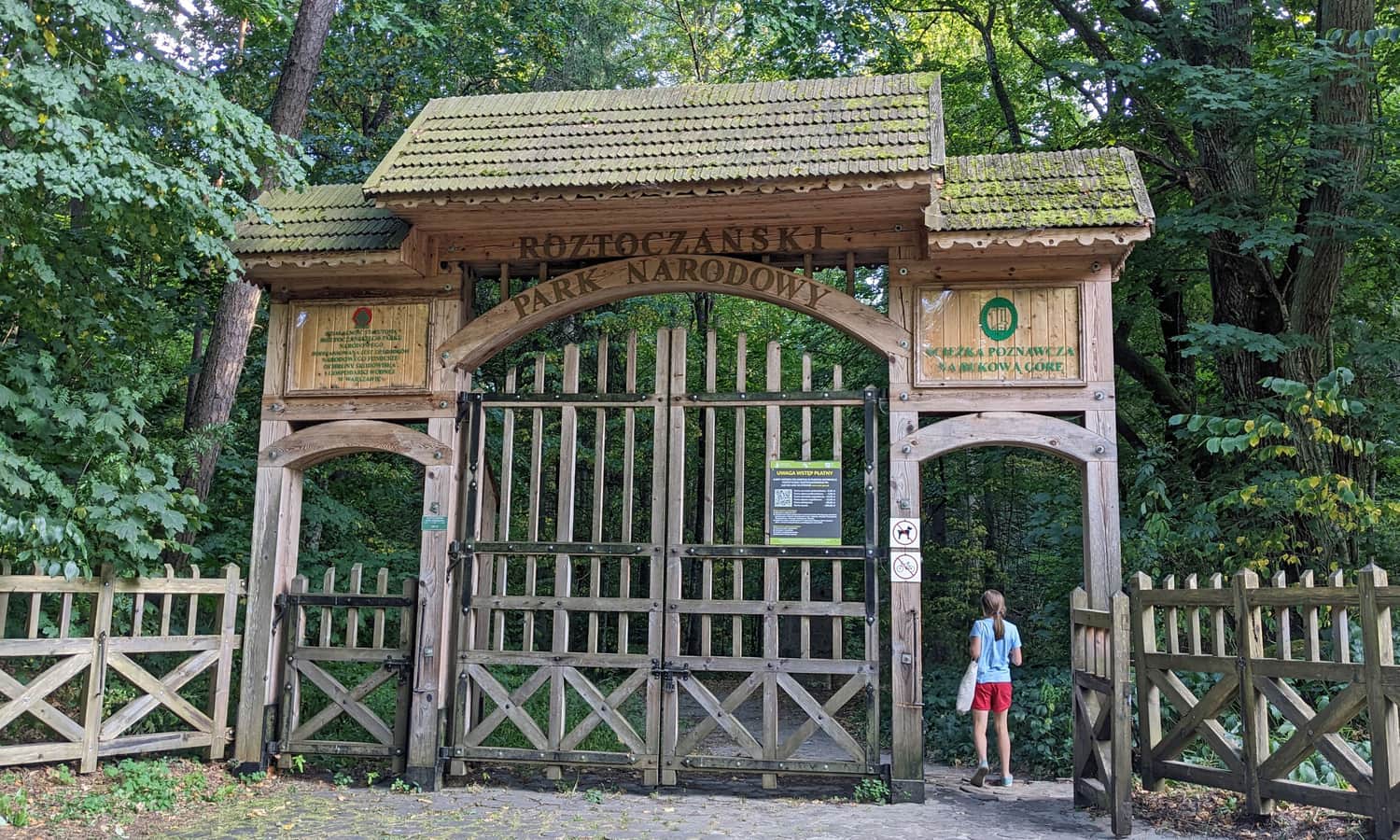 Ze Zwierzyńca na Bukową Górę