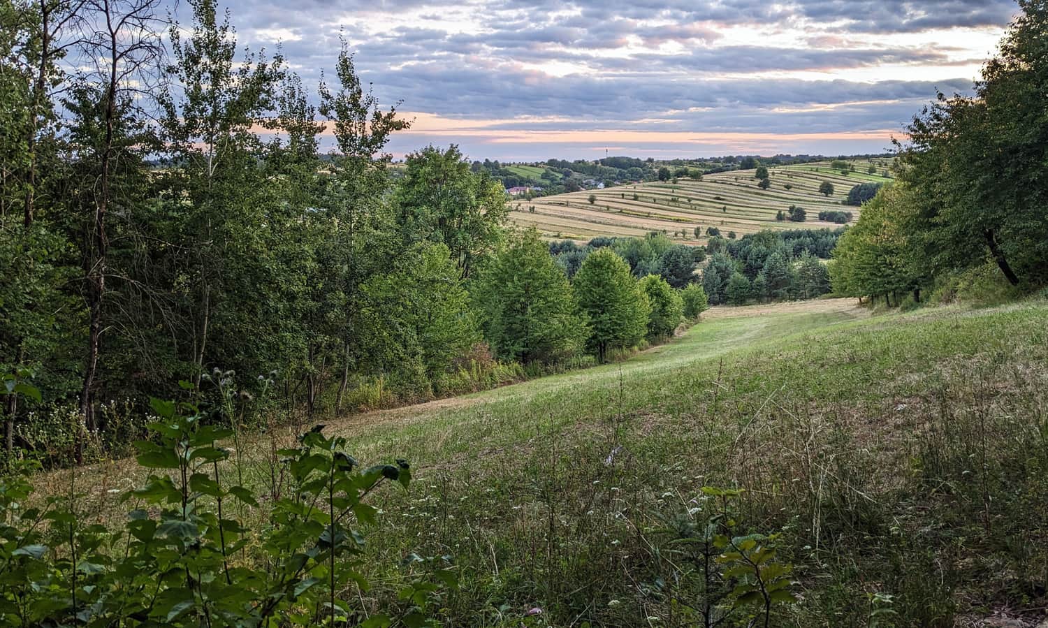 Bukowa Góra - punkt widokowy koło Zwierzyńca