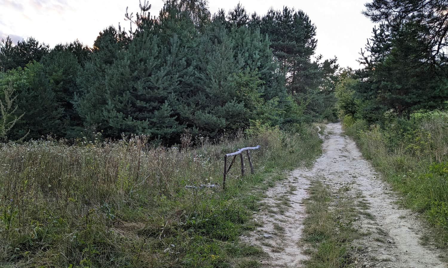 Ścieżka z Soch na Bukową Górę - najłatwiejsza i najkrótsza droga na punkt widokowy