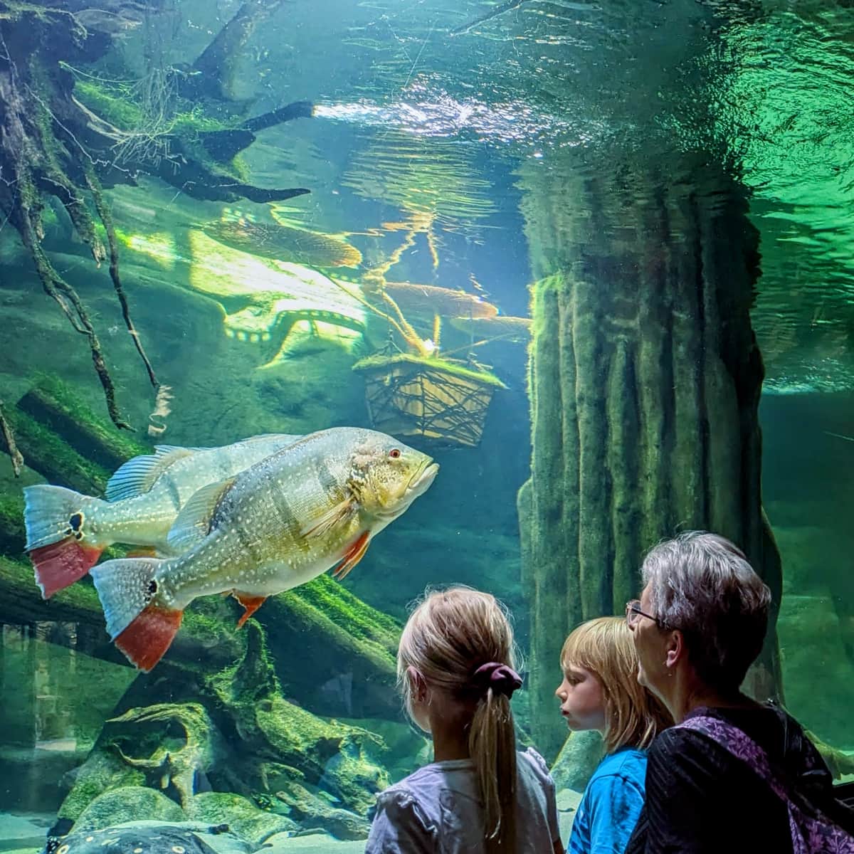 Śląskie z dziećmi - pomysły na zimę i ferie 