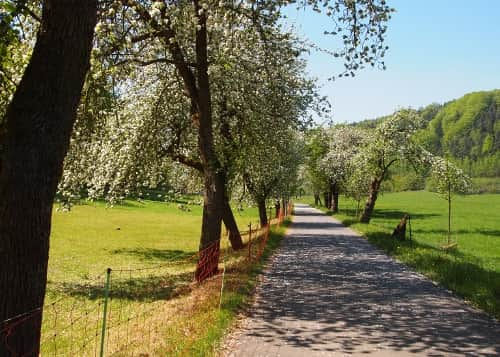 Dojazd do Hotelu z miejscowości Königstein