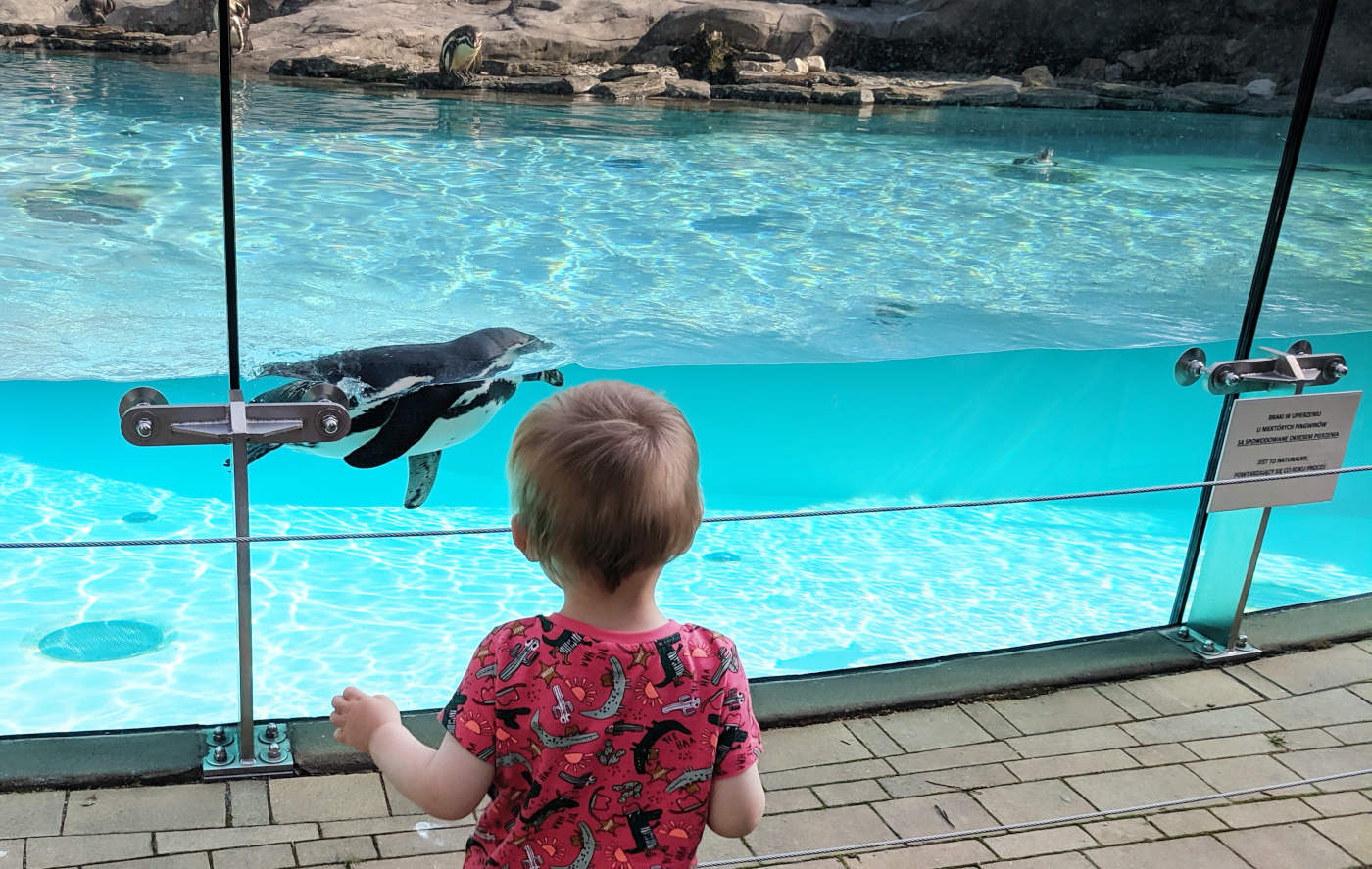 Ogród Zoologiczny Kraków