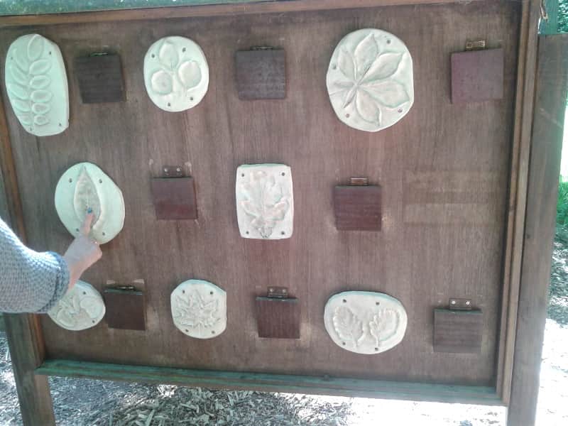 Zabawa koparką - wrzuć monetę 1 euro