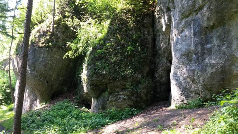 Ścieżka przy skałkach otaczających Dolinę Brzoskwinki