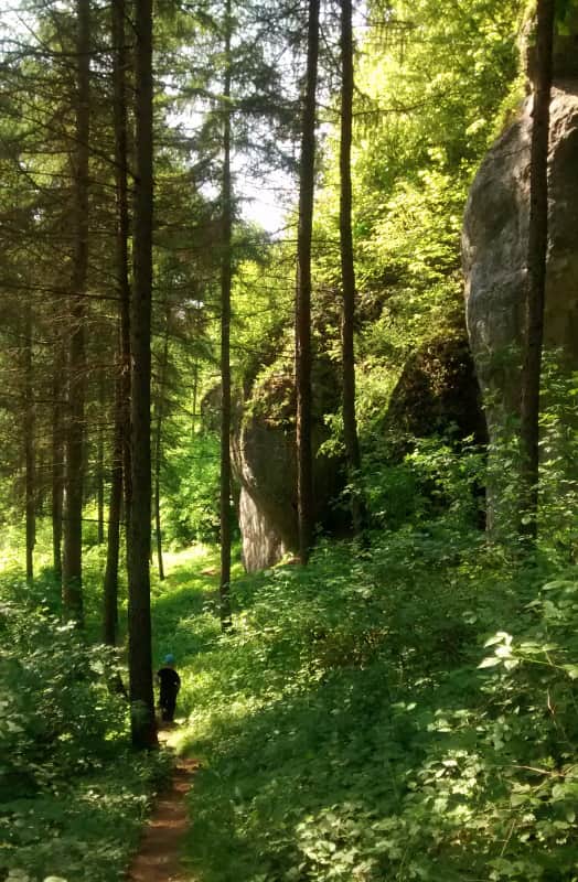 Ścieżka przy skałkach otaczających Dolinę Brzoskwinki