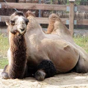 ZOO w Zamościu