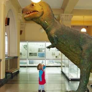 Muzeum Geologiczne w głównym budynku AGH