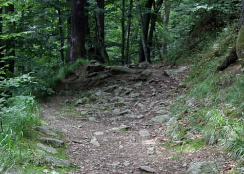 zejście w stronę J. Bystrzyckiego