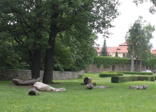 łąka z drewnianymi zwierzątkami