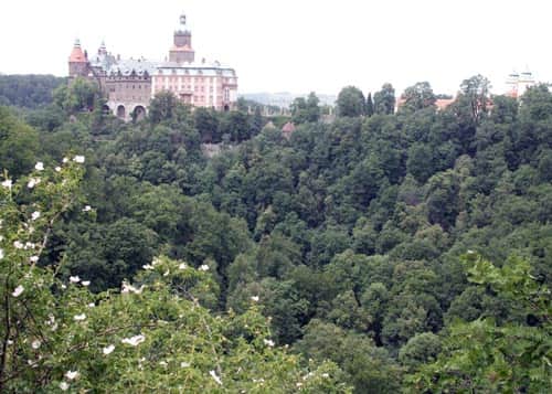 zamek z punktu widokowego