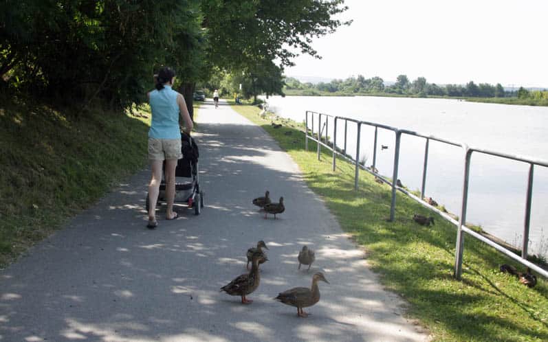 Spacer bulwarami nad Wisłokiem