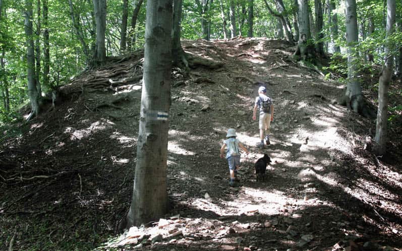 Strome podejście pod szczyt Grodziska