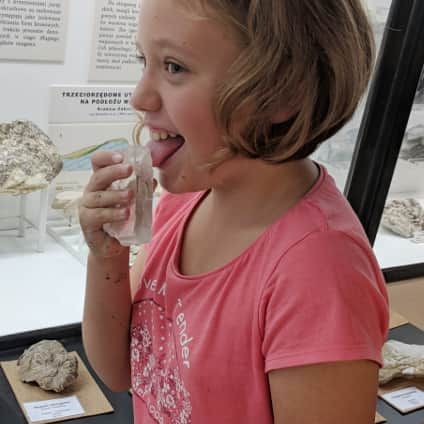 Geological Museum of ING PAN in Krakow