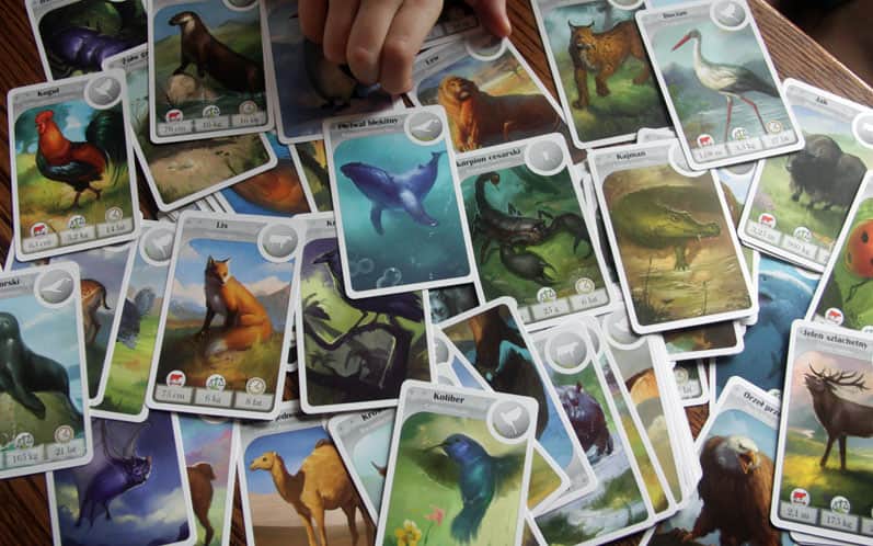 OTO KRÓLESTWO KARCIANYCH ZWIERZĄT