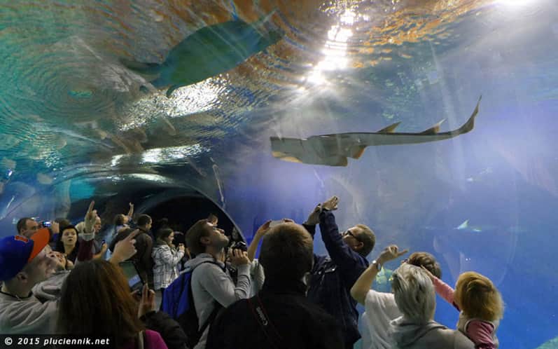 Fot. Olga Płuciennik